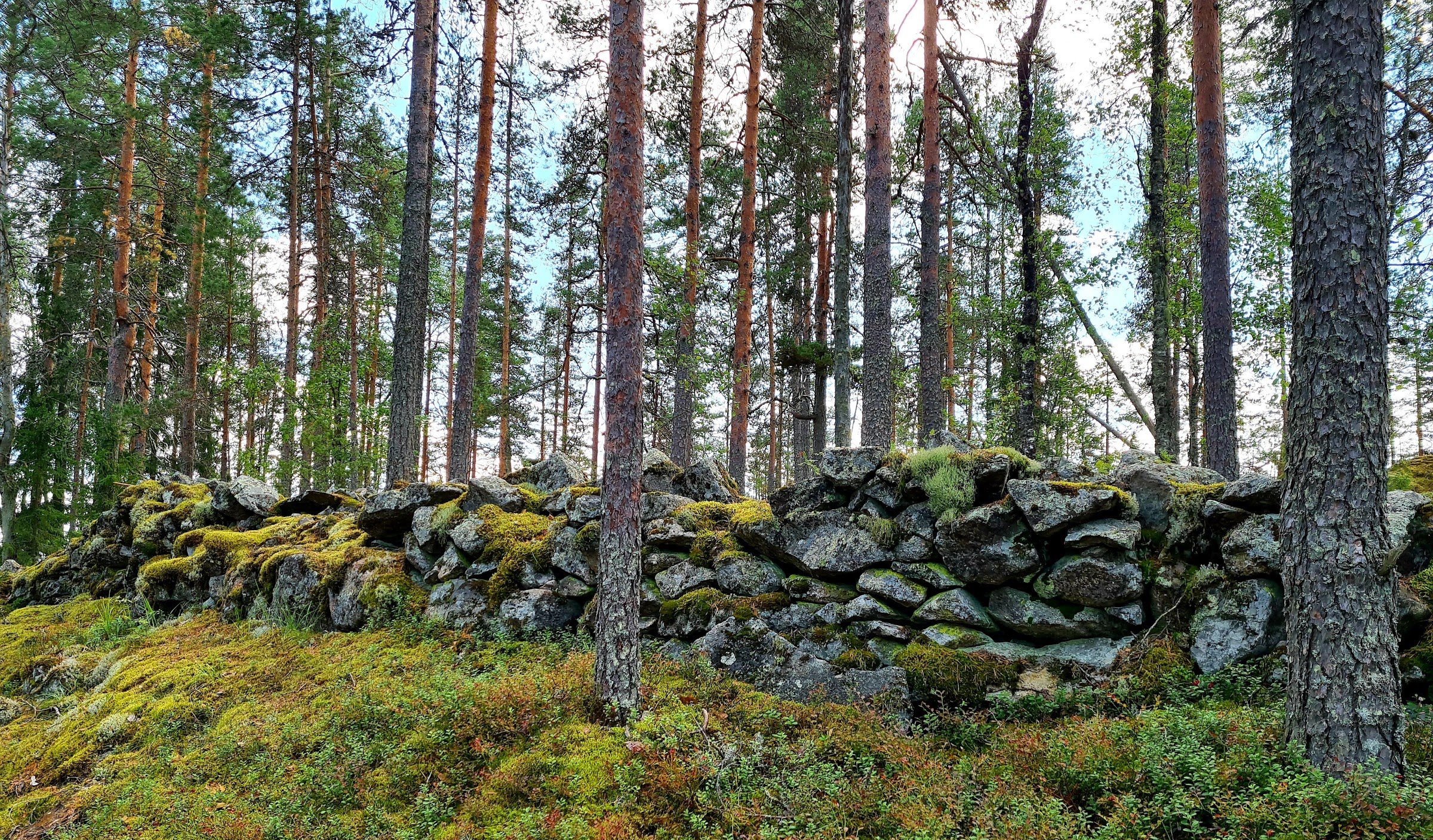 Pisamalahti Hill Fort (Pisamalahden linnavuori)